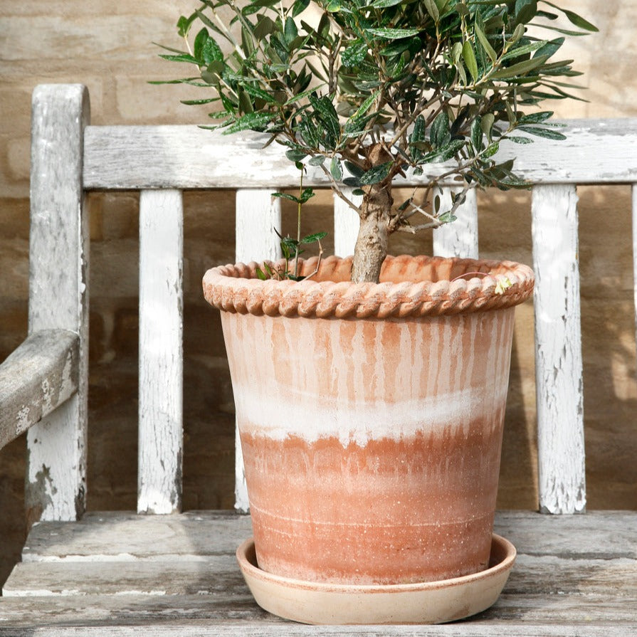 Emilia - rosa terracotta