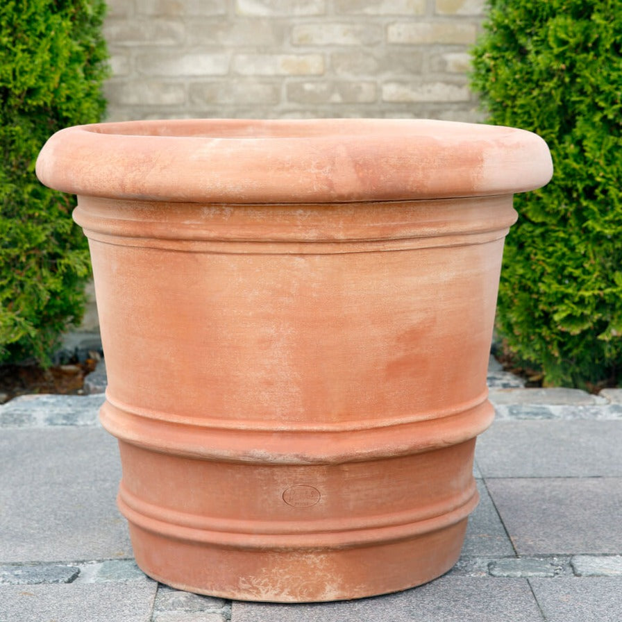 Lucca, rosa terracotta