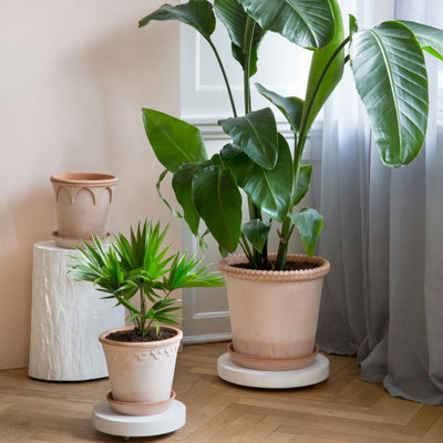 Plante trolley - hvid